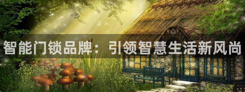 富联娱乐qv87555：智能门锁品牌：引领智慧生活新风尚
