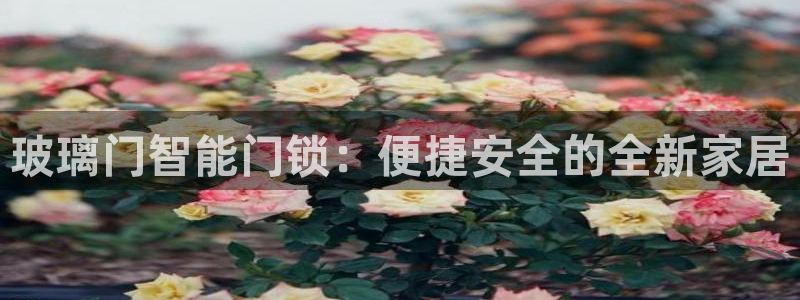 富联2娱乐：玻璃门智能门锁：便捷安全的全新家居