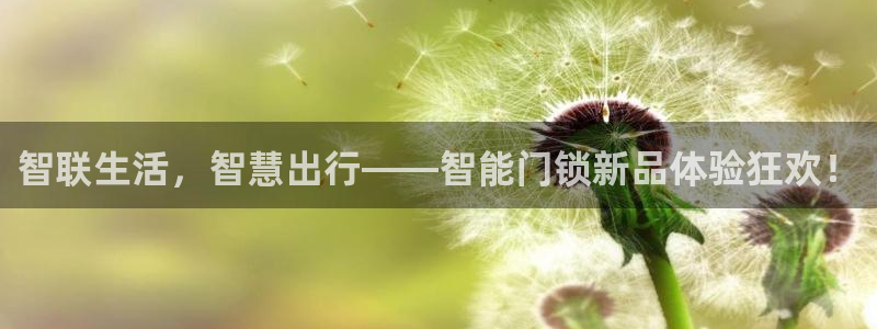 富联娱乐勺67五壹叁八：智联生活，智慧出行——智能门锁新品体