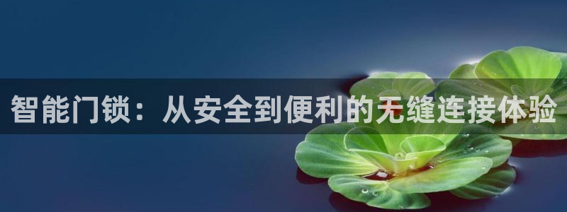 富联娱乐注册地址在哪里：智能门锁：从安全到便利的无缝连接体验