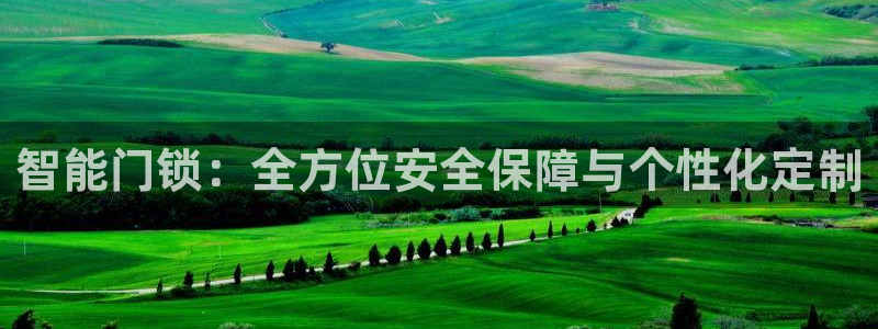 富联娱乐382223：智能门锁：全方位安全保障与个性化定制