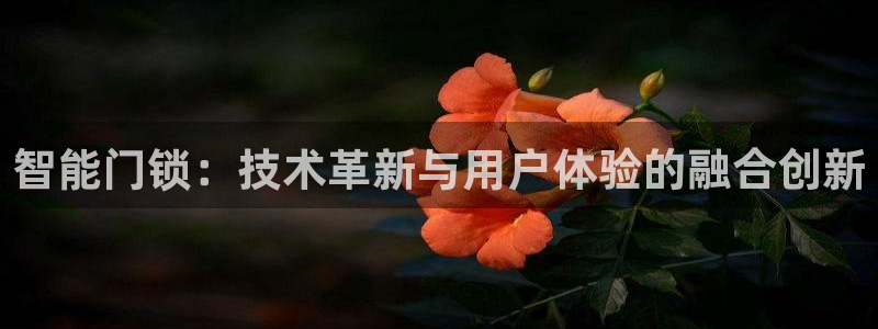 富联娱乐代理怎么做：智能门锁：技术革新与用户体验的融合创新