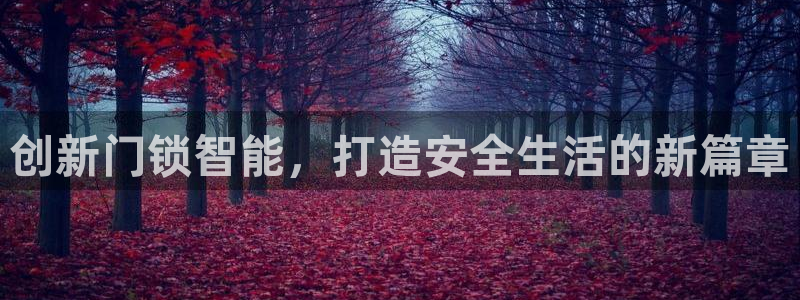 富联娱乐分红怎么样啊：创新门锁智能，打造安全生活的新篇章