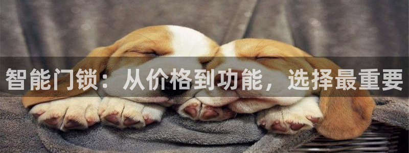富联娱乐是什么公司的：智能门锁：从价格到功能，选择最重要