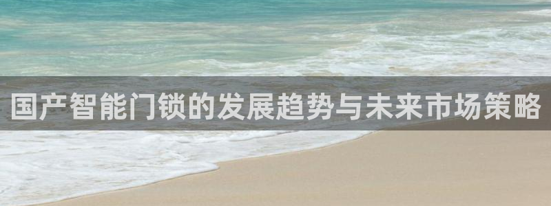 富联娱乐代理是谁的产品：国产智能门锁的发展趋势与未来市场策略