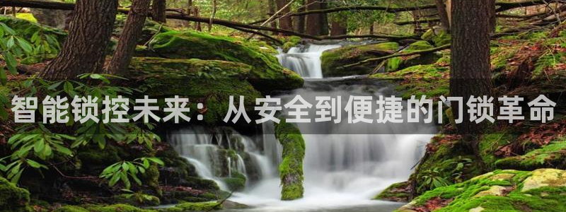 富联娱乐女团是谁的公司：智能锁控未来：从安全到便捷的门锁革命
