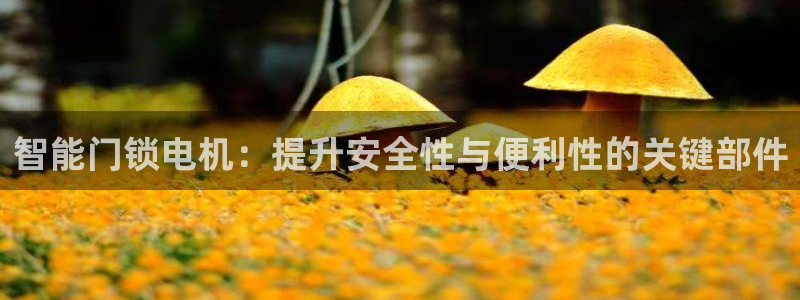 富联娱乐逐风67O77：智能门锁电机：提升安全性与便利性的关