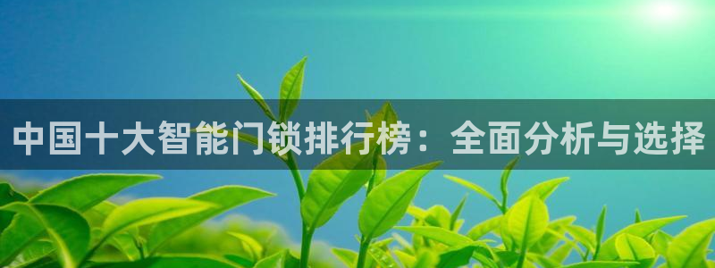 富联娱乐首页在哪找到：中国十大智能门锁排行榜：全面分析与选择