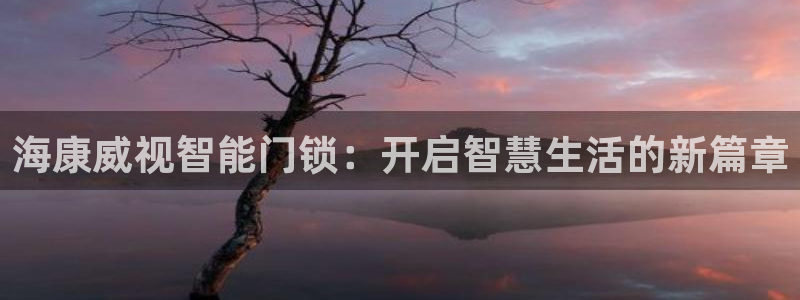 富联娱乐几67OO6：海康威视智能门锁：开启智慧生活的新篇章