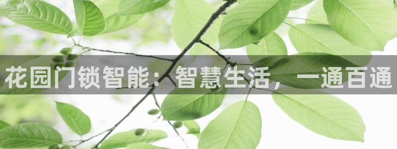 富联娱乐曼谷快三怎么样：花园门锁智能：智慧生活，一通百通