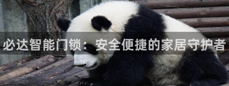 富联娱乐招商主管：必达智能门锁：安全便捷的家居守护者