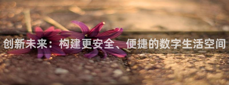 富联娱乐找qv382223：创新未来：构建更安全、便捷的数字