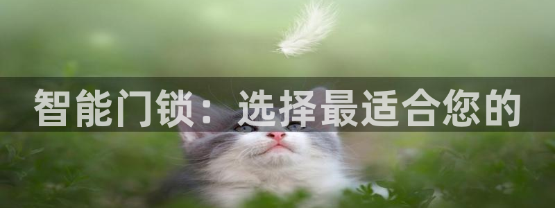 富联娱乐注册地址：智能门锁：选择最适合您的
