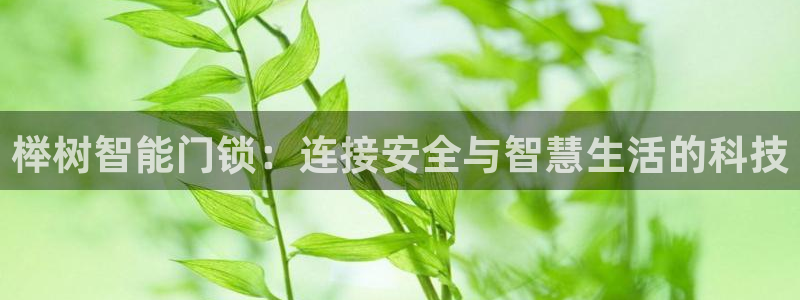 富联娱乐开户流程视频：榉树智能门锁：连接安全与智慧生活的科技