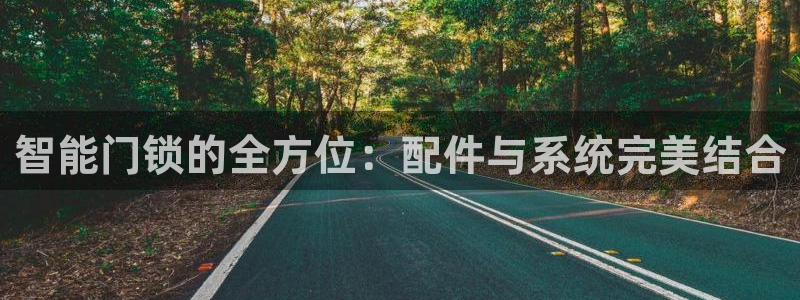 富联娱乐下载官网app：智能门锁的全方位：配件与系统完美结合