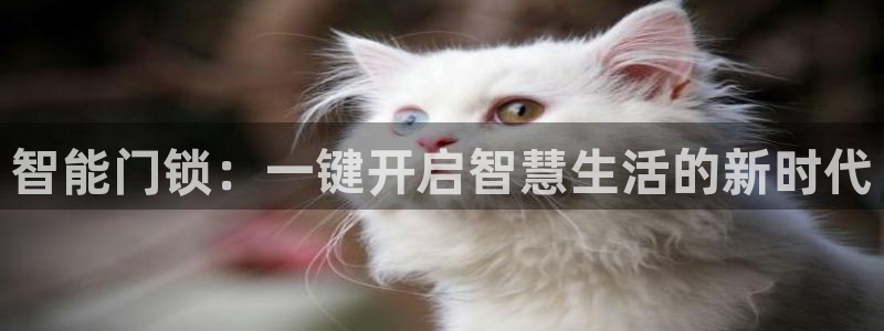 富联娱乐下载免费版安装：智能门锁：一键开启智慧生活的新时代