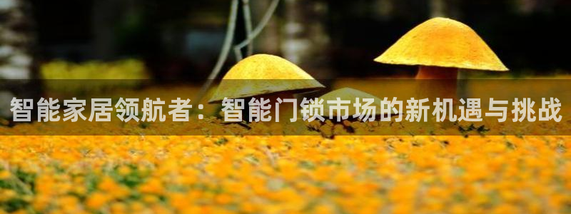 富联娱乐67零零六：智能家居领航者：智能门锁市场的新机遇与挑
