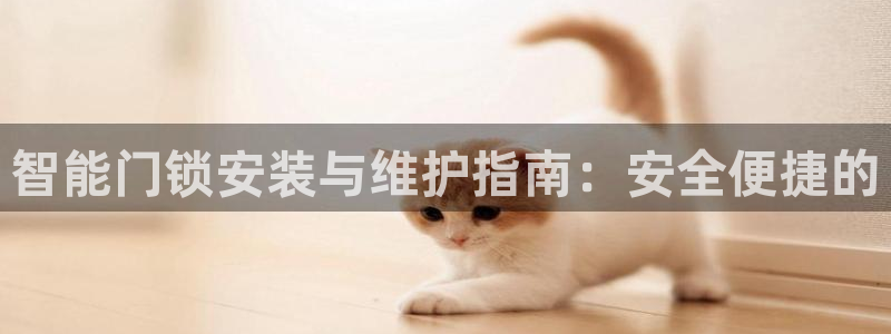 富联娱乐开户费用多少：智能门锁安装与维护指南：安全便捷的