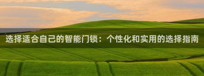 富联2娱乐贴吧：选择适合自己的智能门锁：个性化和实用的选择指