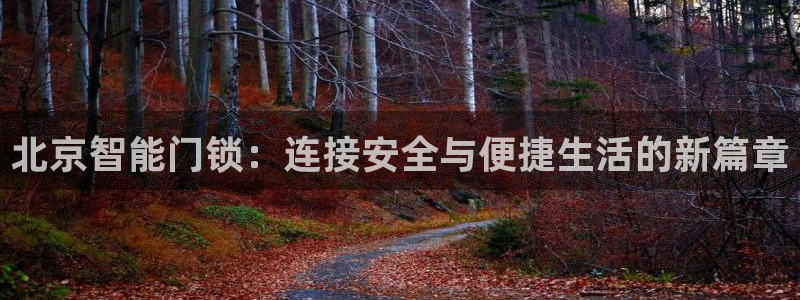 富联娱乐app官方下载苹果版：北京智能门锁：连接安全与便捷生