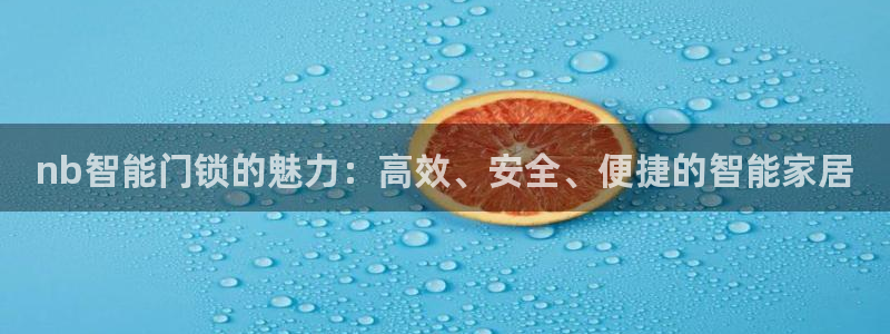 富联娱乐官网登录入口下载：nb智能门锁的魅力：高效、安全、便