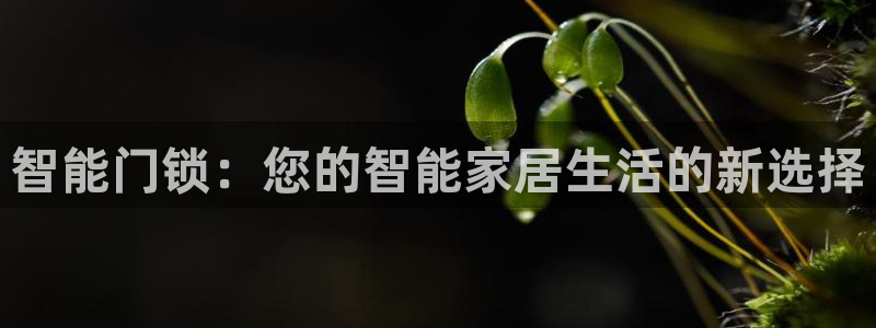 富联娱乐招商经判官333OO：智能门锁：您的智能家居生活的新