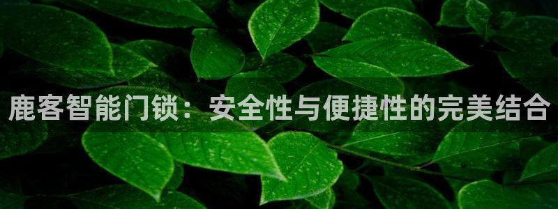 富联娱乐官方网站首页下载：鹿客智能门锁：安全性与便捷性的完美