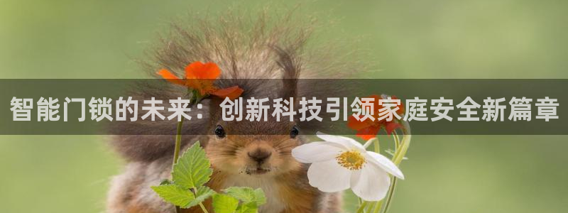 富联娱乐客户端登录不上：智能门锁的未来：创新科技引领家庭安全