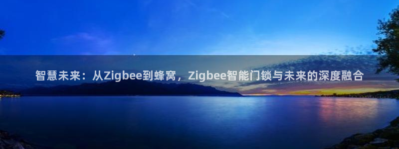 富联娱乐测速登录不了：智慧未来：从Zigbee到蜂窝，Zig