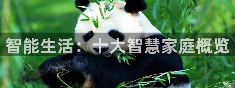 富联娱乐平台官网首页：智能生活：十大智慧家庭概览