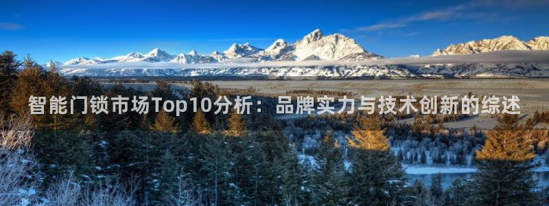 富联娱乐首页：智能门锁市场Top10分析：品牌实力与技术创新