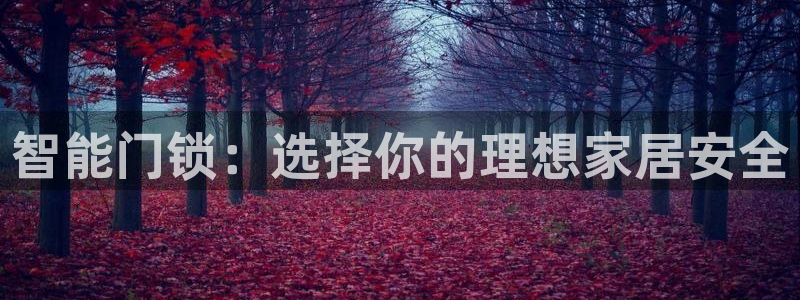富联娱乐招商后原判官333OO：智能门锁：选择你的理想家居安
