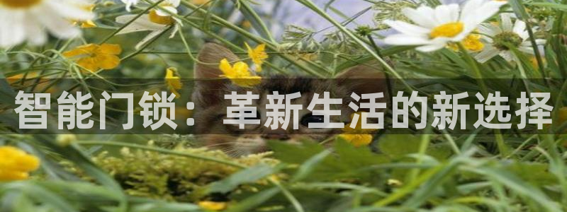 富联娱乐登录测速软件：智能门锁：革新生活的新选择
