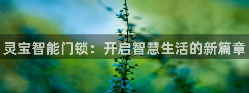 富联娱乐登录链接怎么弄到桌面：灵宝智能门锁：开启智慧生活的新