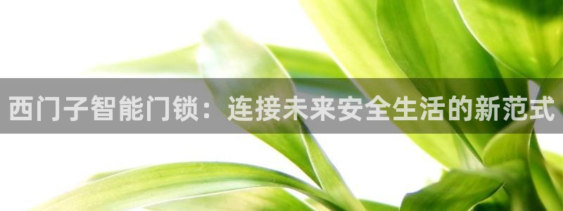富联娱乐贴吧网站官网：西门子智能门锁：连接未来安全生活的新范