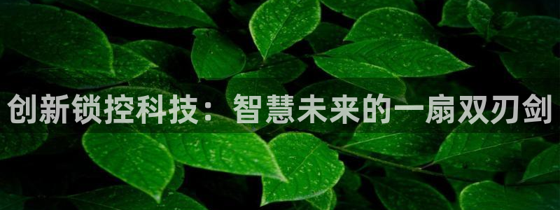 富联娱乐招商天333OO判官：创新锁控科技：智慧未来的一扇双
