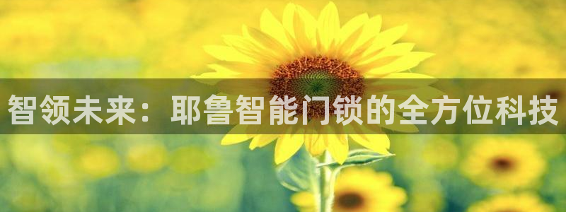 富联娱乐官方网站下载：智领未来：耶鲁智能门锁的全方位科技