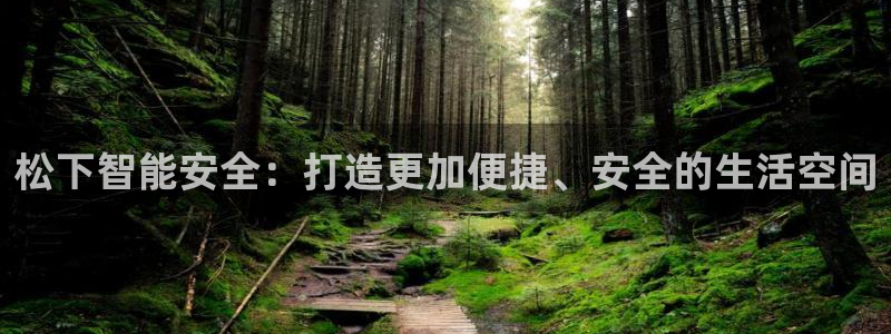 富联娱乐首页登录入口：松下智能安全：打造更加便捷、安全的生活