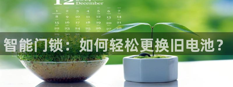 富联娱乐测速登录：智能门锁：如何轻松更换旧电池？