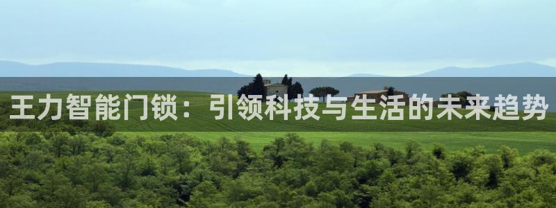 富联娱乐主管是什么职位：王力智能门锁：引领科技与生活的未来趋
