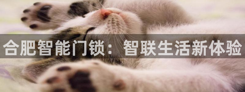 富联娱乐主管吉判官333OO：合肥智能门锁：智联生活新体验