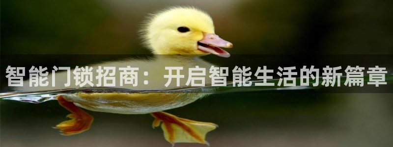 富联娱乐平台是什么软件：智能门锁招商：开启智能生活的新篇章