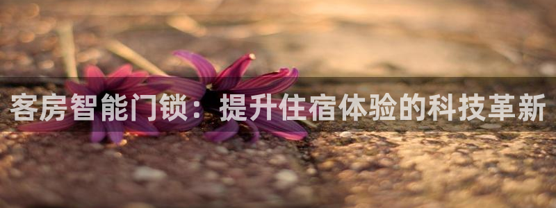 富联娱乐注册社判官333OO：客房智能门锁：提升住宿体验的科
