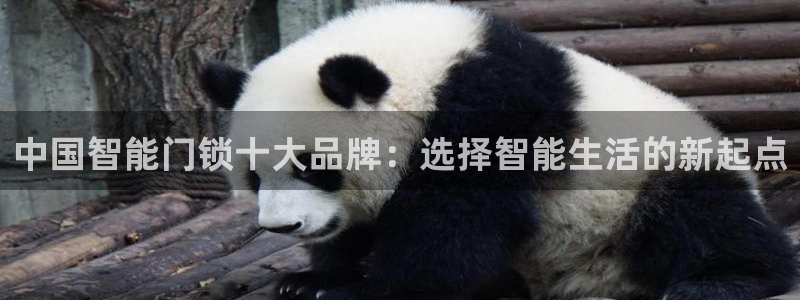 富联娱乐乙67OO6：中国智能门锁十大品牌：选择智能生活的新