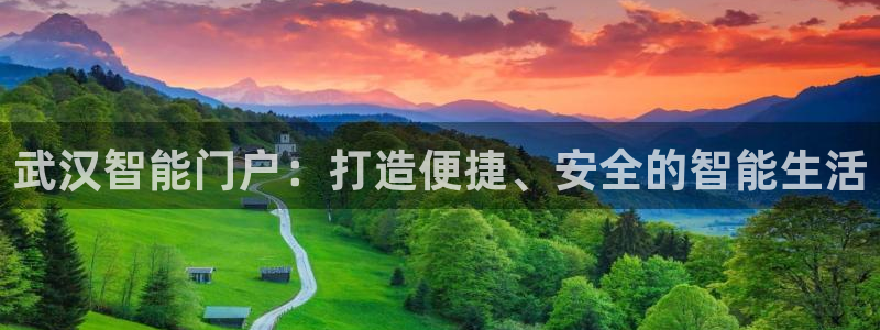 富联娱乐注册答唐老鸭779O3：武汉智能门户：打造便捷、安全