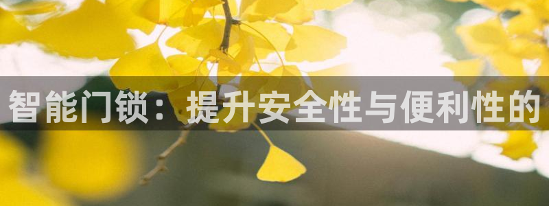 富联娱乐代理怎么样做的：智能门锁：提升安全性与便利性的