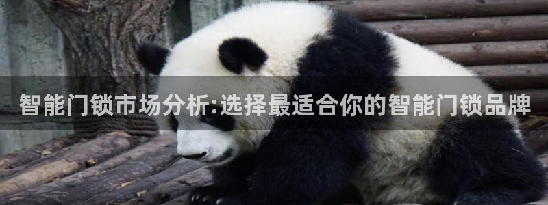 富联娱乐正规吗安全吗：智能门锁市场分析:选择最适合你的智能门