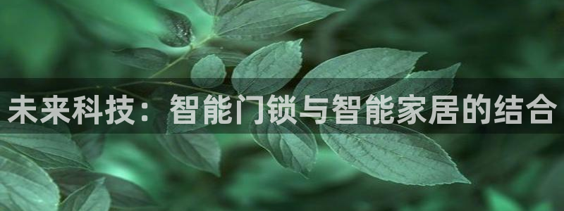 富联娱乐app更新不了：未来科技：智能门锁与智能家居的结合