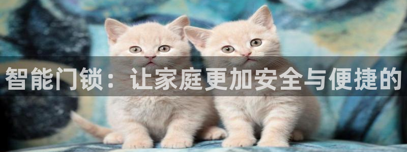 富联娱乐app下载安装：智能门锁：让家庭更加安全与便捷的