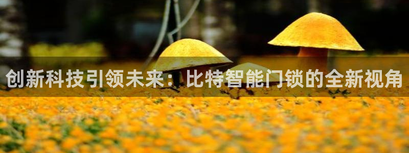 富联娱乐代理怎么样啊：创新科技引领未来：比特智能门锁的全新视